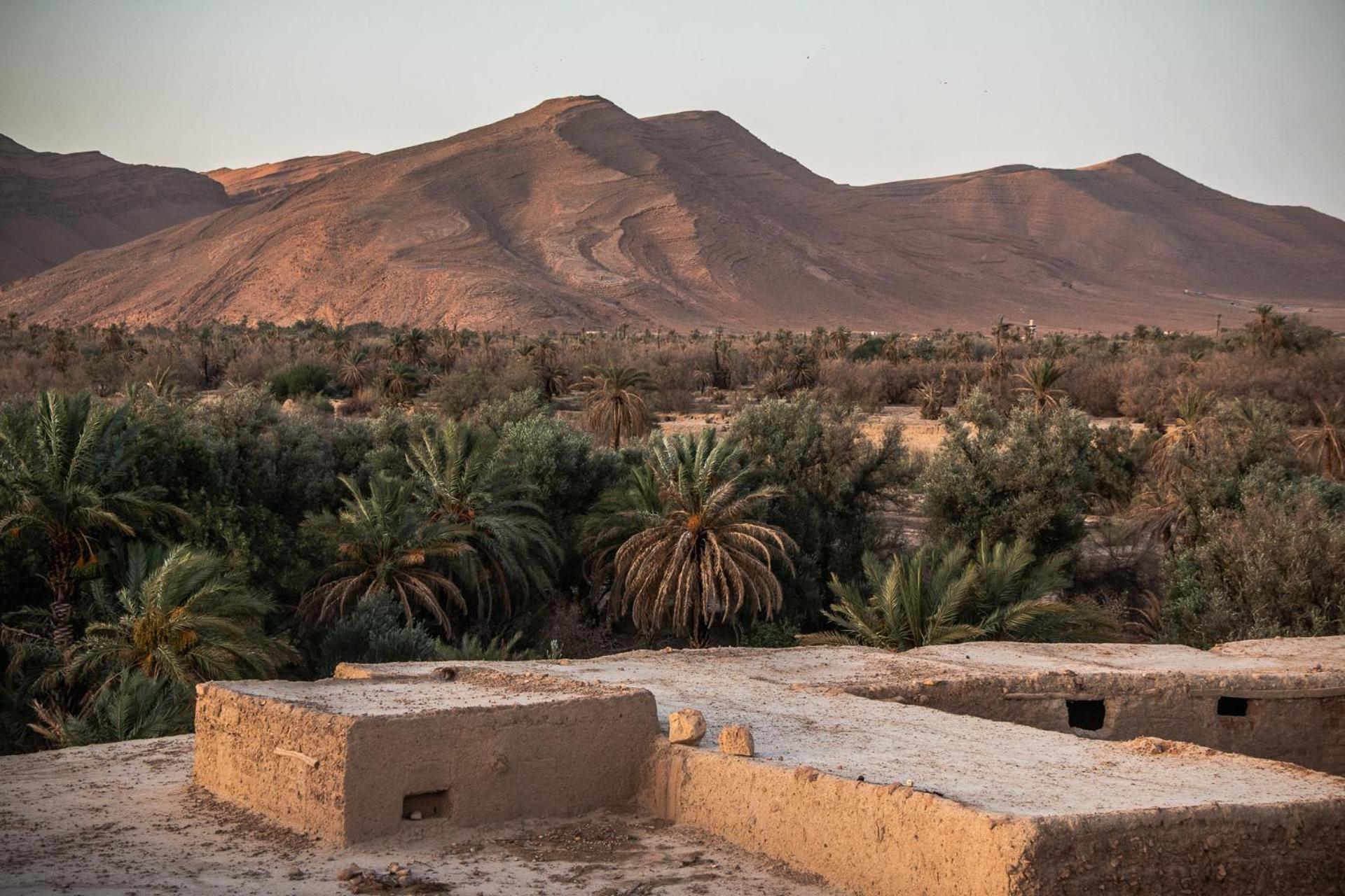 Tazouka Oasis Travel B&B 외부 사진