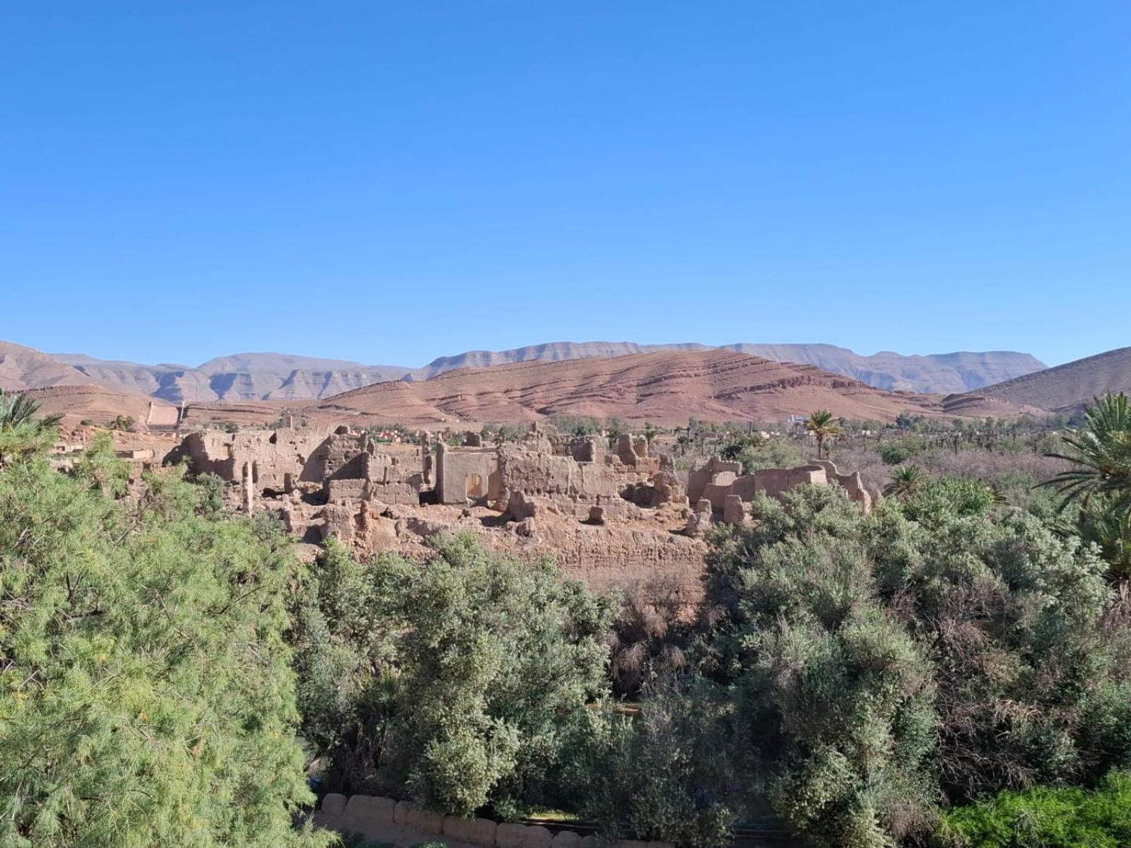 Tazouka Oasis Travel B&B 외부 사진